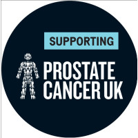 NEW Car Accessories bundle - Air Fresheners & Stickers NEW Car Accessories bundle - Air Fresheners & Stickers