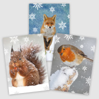 Christmas Card bumper box