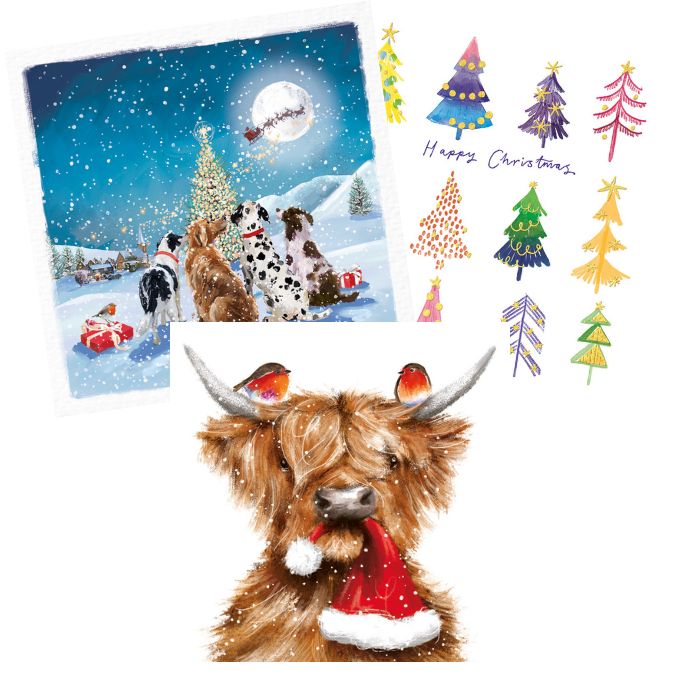 NEW Festive Mix Cards (Pack of 12)