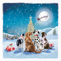 NEW Festive Mix Cards (Pack of 12)