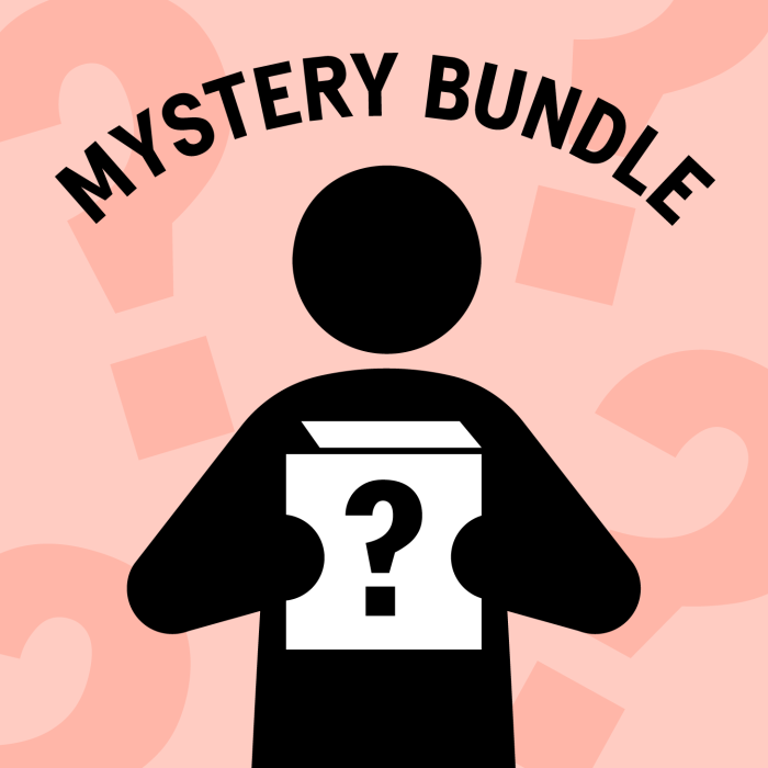 Mystery Bundle