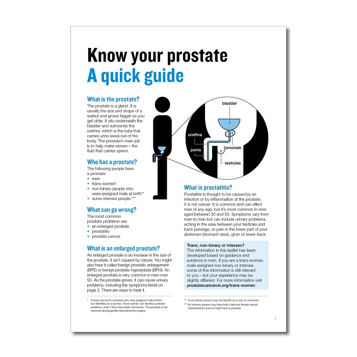 Know your prostate: a quick guide